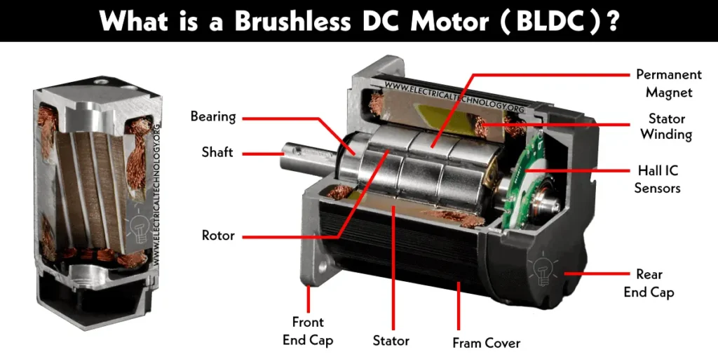 Labeled internal components of a brushless DC motor