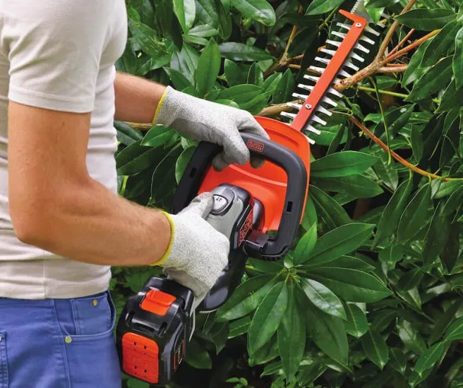Gardener trimming a hedge with a cordless hedge trimmer
