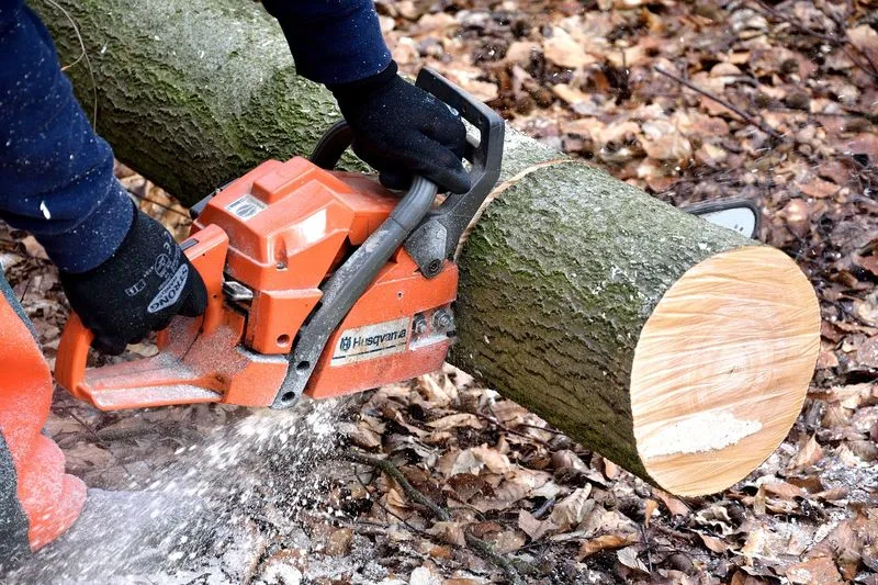 Chainsaw cutting a fallen log
